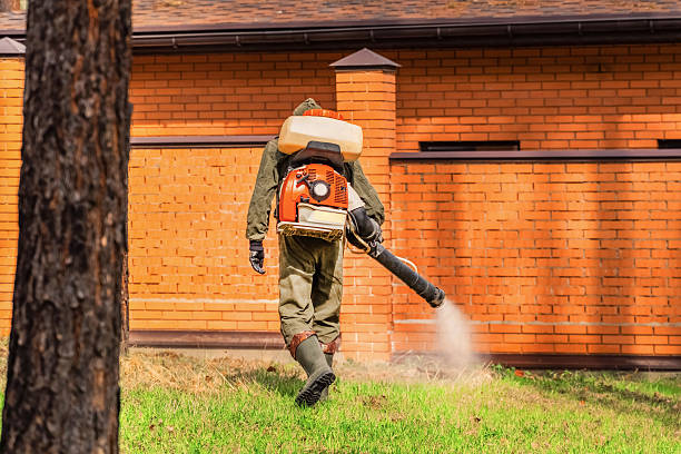Top rated local Ant Control specialists in Three Rivers, MI